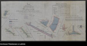 Plan części gruntów wydzielonych z dóbr Teresin guberni lubelskiej, powiatu hrubieszowskiego
